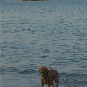 Meet your Posher, Maddie